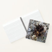 Carnet Fonte.... (Intérieur)