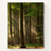 Carnet Forest | Autumn Forest (Dos)