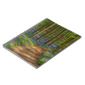 Carnet Forest | Bluebell Forest en Belgique (Côté gauche)