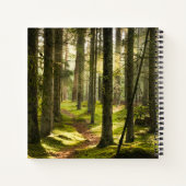 Carnet Forest | Boreal Forest Sweden (Dos)