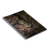 Carnet Forest | Deux Owls Looking (Côté Droit)