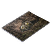 Carnet Forest | Deux Owls Looking (Côté gauche)