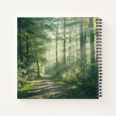 Carnet Forest | Forest Path Hamburg Germany (Dos)