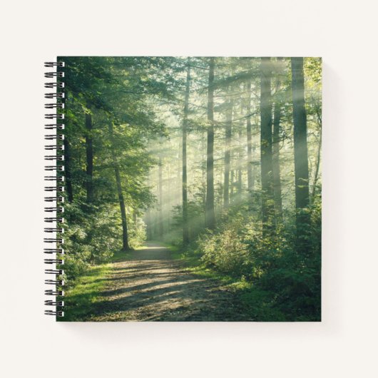 Carnet Forest | Forest Path Hamburg Germany (Devant)