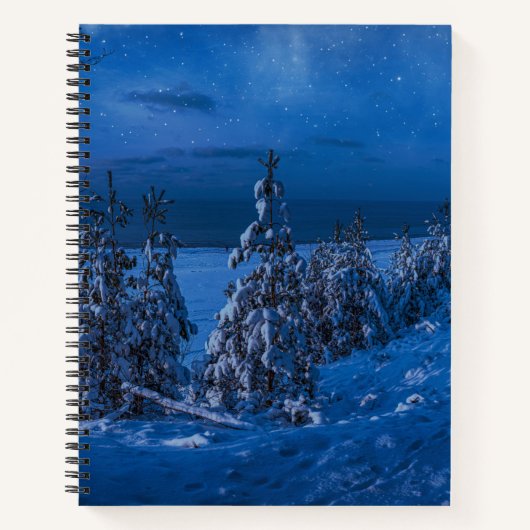 Carnet Forest path at winter night (Devant)
