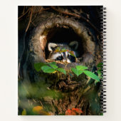 Carnet Forest | Raccoon Peeking (Dos)