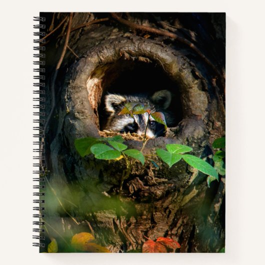 Carnet Forest | Raccoon Peeking (Devant)
