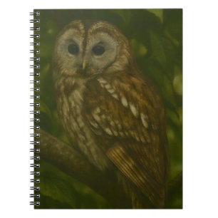 Carnet Forest Sentinel - Tawny Owl Wildlife Art