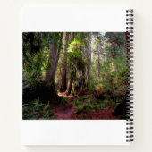 Carnet Forest | Séquwood Forest California (Dos)