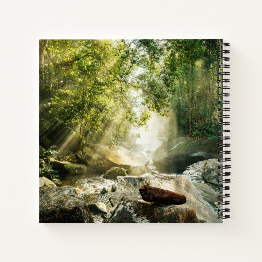 Carnet Forest | Tropical Jungle Forest (Dos)