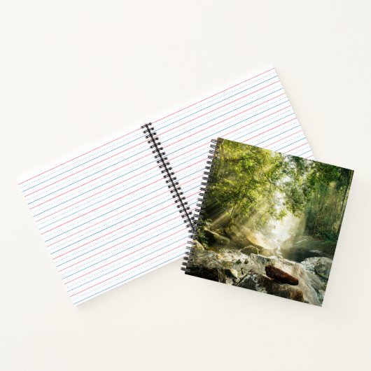 Carnet Forest | Tropical Jungle Forest (Intérieur)