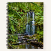 Carnet Forests | Beauchamp Falls Australia (Devant)