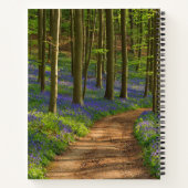 Carnet Forests | Bluebell Forest in Belgium (Dos)