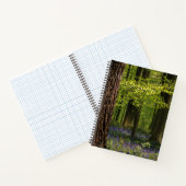 Carnet Forests | Bluebells in Belgium (Intérieur)