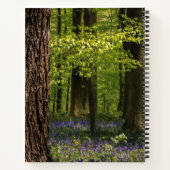 Carnet Forests | Bluebells in Belgium (Dos)