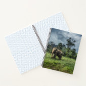 Carnet Forests | Kao Sok National Park (Intérieur)