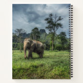 Carnet Forests | Kao Sok National Park (Dos)