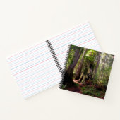 Carnet Forests | Redwood Forest California (Intérieur)