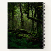 Carnet Forests | Routeburn Track Fiordland National Park (Dos)