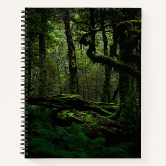 Carnet Forests | Routeburn Track Fiordland National Park (Devant)