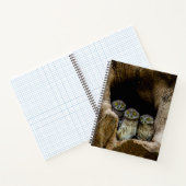 Carnet Forests | Three Owls Looking (Intérieur)