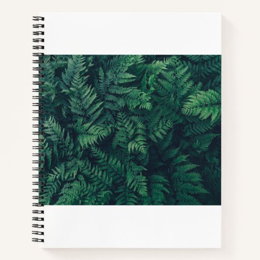 Carnet Forests | Woodland Ferns (Devant)