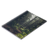 Carnet Forêt (Côté gauche)