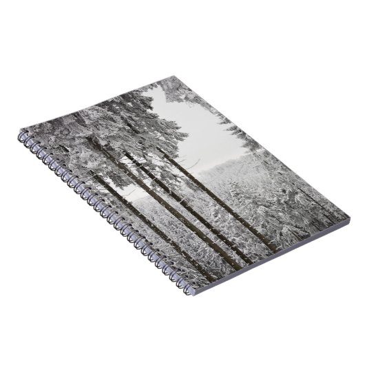 Carnet Forêt à feuillage persistant en hiver (Côté Droit)