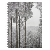 Carnet Forêt à feuillage persistant en hiver (Devant)