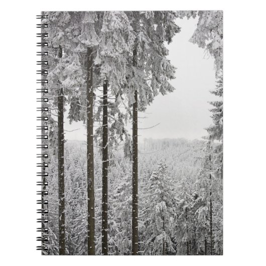 Carnet Forêt à feuillage persistant en hiver (Devant)