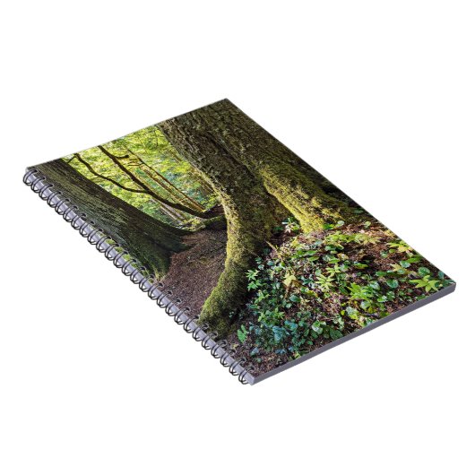 Carnet Forêt À feuillage persistant luxuriante (Côté Droit)