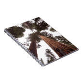 Carnet forêt, arbre (Côté Droit)