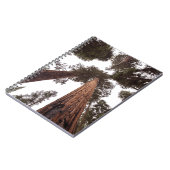 Carnet forêt, arbre (Côté gauche)