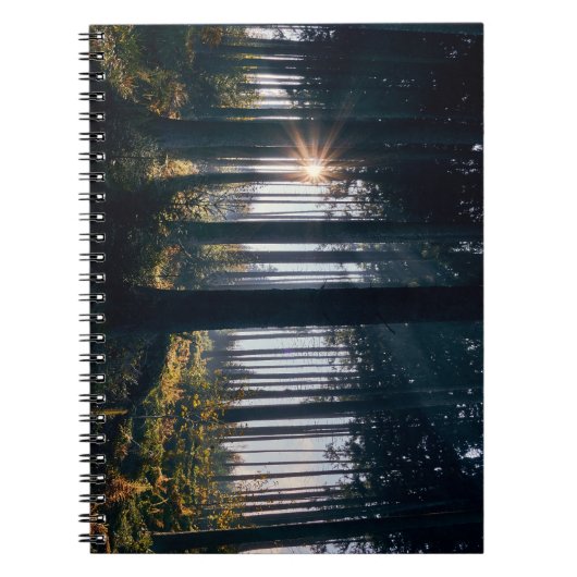 Carnet Forêt, arbres, soleil (Devant)