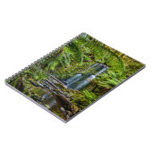 Carnet Forêt | Beauchamp Falls Australie (Côté gauche)