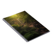 Carnet Forêt | Cascade Sunlight Highlights (Côté Droit)