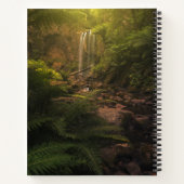 Carnet Forêt | Cascade Sunlight Highlights (Dos)