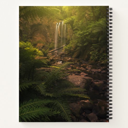 Carnet Forêt | Cascade Sunlight Highlights (Dos)