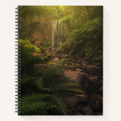 Carnet Forêt | Cascade Sunlight Highlights (Devant)