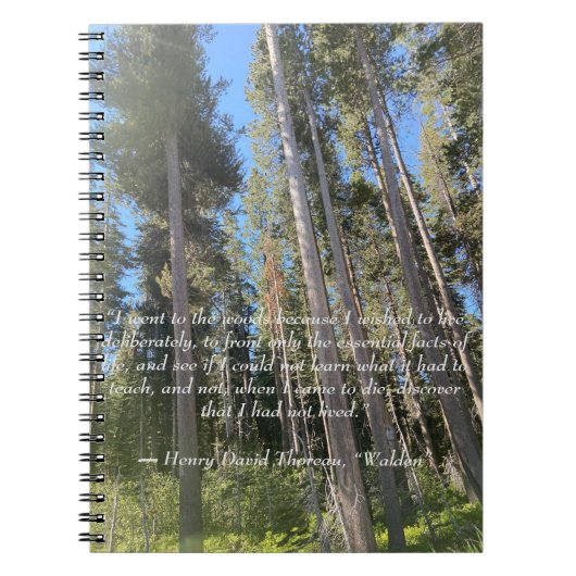 Carnet Forêt d'arbres Thoreau (Devant)