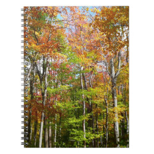 Carnet Forêt d'automne II Photographie de paysage automna