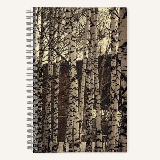 Carnet Forêt de Birch Nature (Recto)