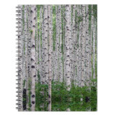 Carnet Forêt de Birch Nature (Devant)