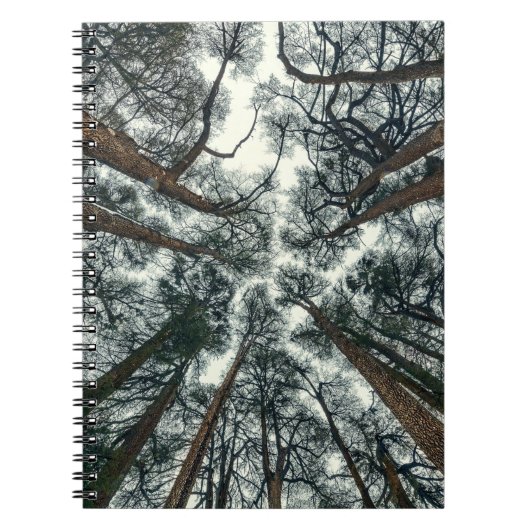Carnet Forêt de cèdres Naturel Liban Arrière - plan (Devant)