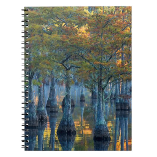 Carnet Forêt de cyprès de bassin (Devant)