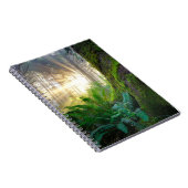 Carnet Forêt de la côte pacifique, Oregon (Côté Droit)