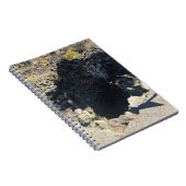 Carnet Forêt de lave, Oregon (Côté Droit)
