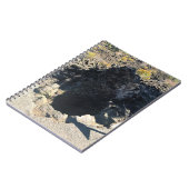 Carnet Forêt de lave, Oregon (Côté gauche)