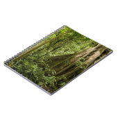 Carnet Forêt de nuages, Bosque de Paz, Costa Rica (Côté gauche)