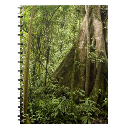 Carnet Forêt de nuages, Bosque de Paz, Costa Rica (Devant)